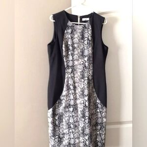 Calvin Klein Dress Size 14